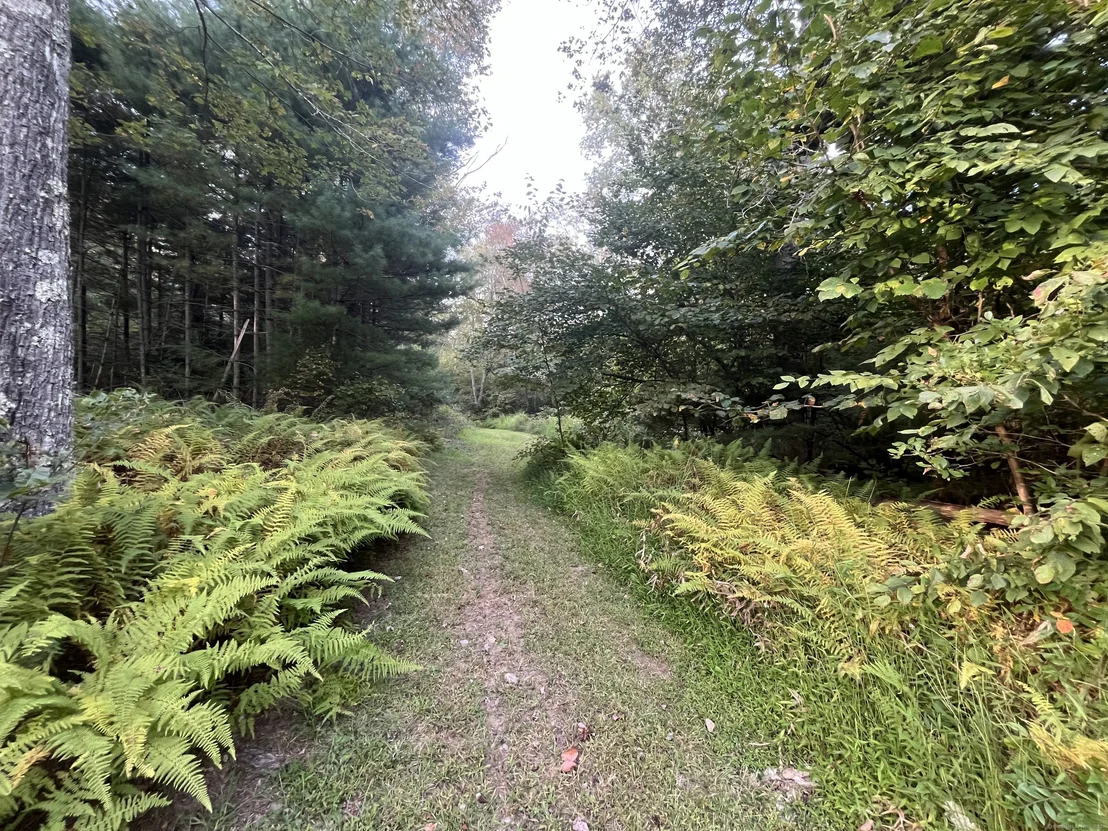 Photo of 170 Jericho Road