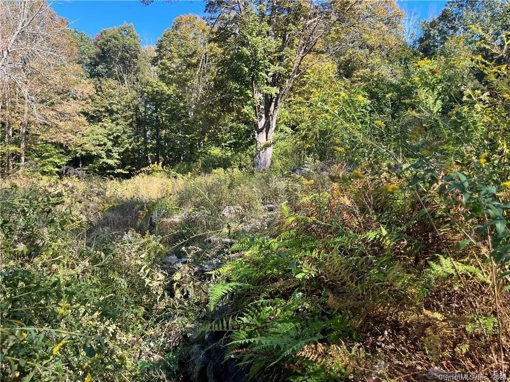 Photo of 26 Paper Mill Road