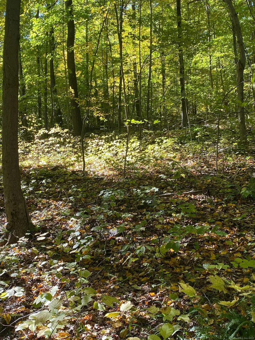 Photo of Lot 5 Bethany Mountain Road
