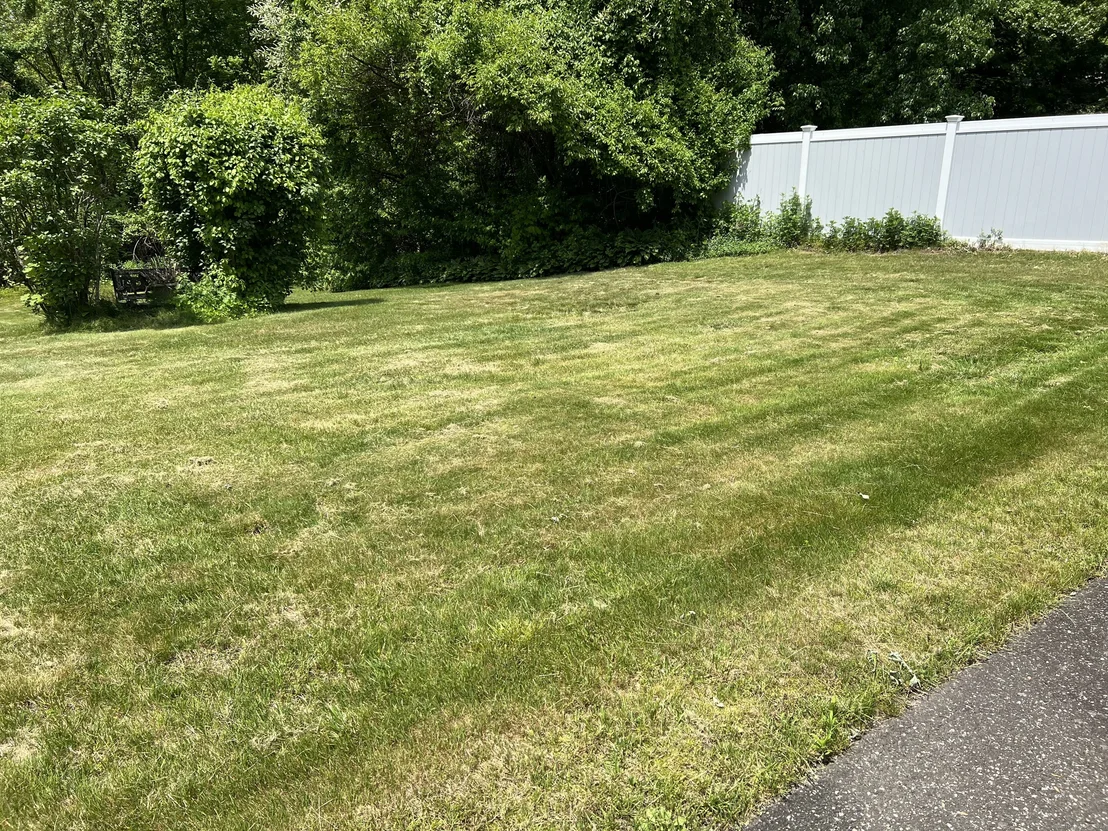 Photo of 75 Tree Hill Road