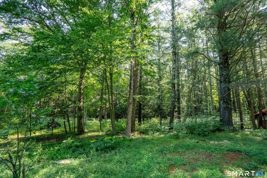 Photo of 260 Codfish Falls Road