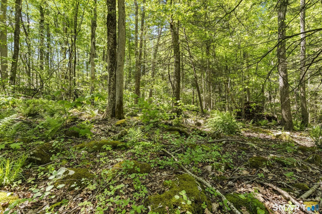 Photo of 321 Colebrook Road