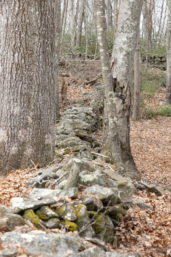 Photo of 0 Saybrook Road