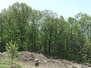 Photo of Lot 7 Loop Road