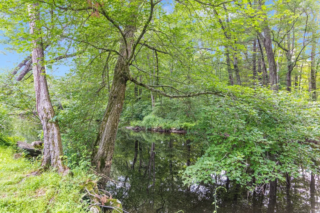 Photo of 46 Fitzgerald Road