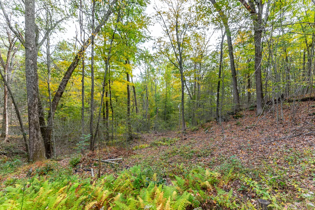 Photo of 38 Mountain Lane