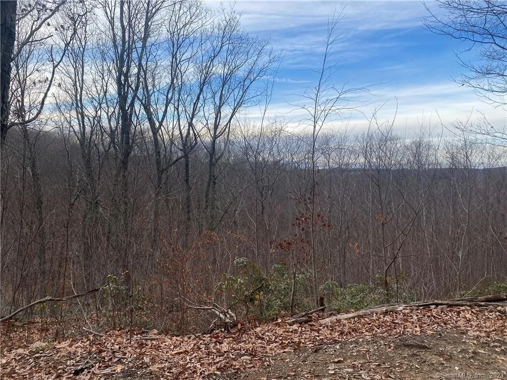 Photo of 52 Chestnut Hill Road