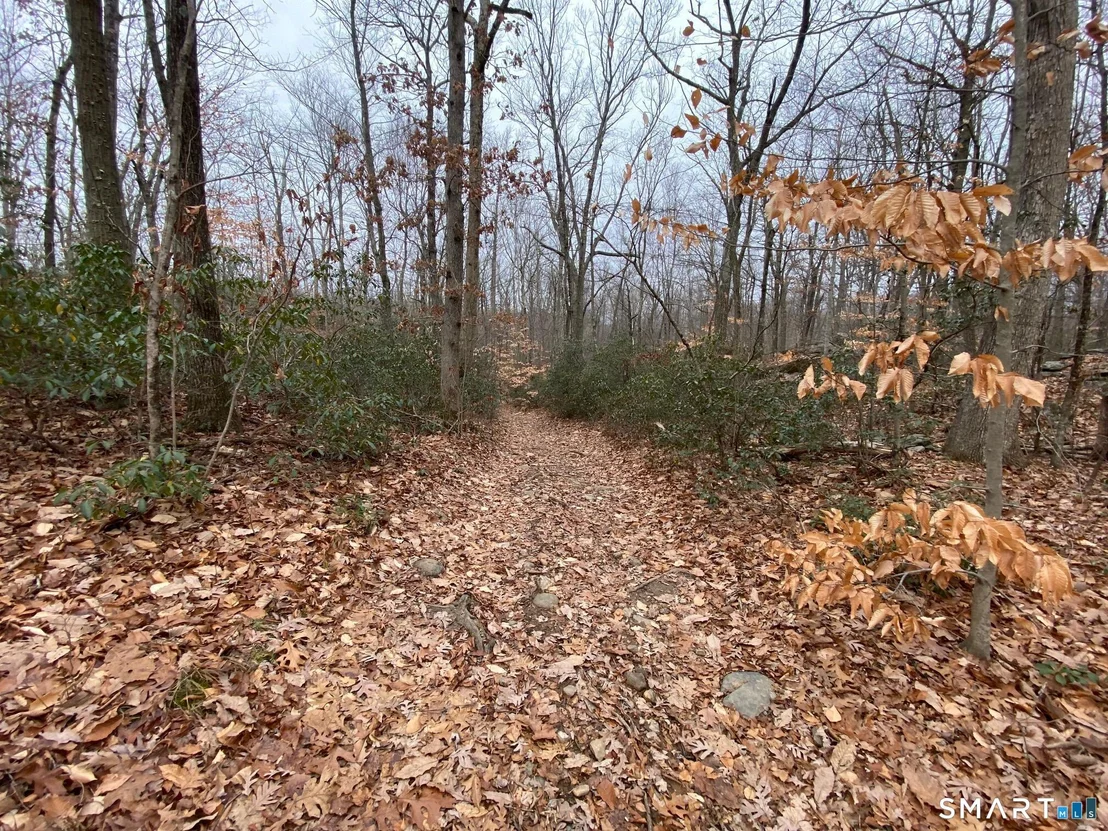Photo of 0 Bow Lane