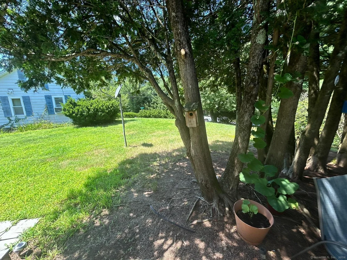 Photo of 2 Collins Road