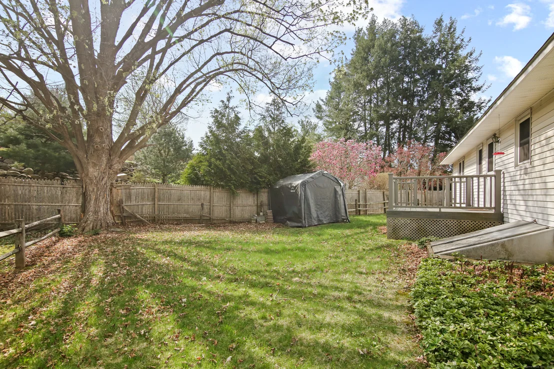 Photo of 53B Elizabeth Street