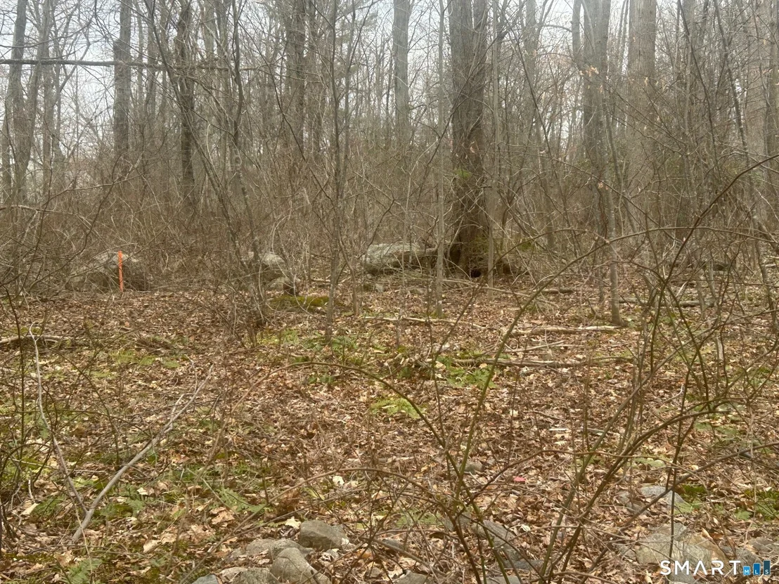 Photo of Unit 1314 at 14 Juniper Drive