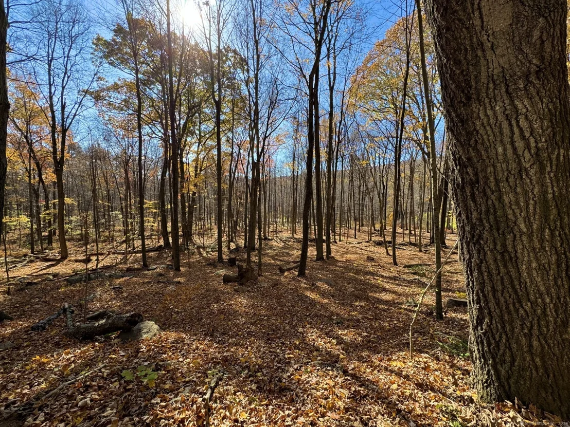Photo of 00 Upper Kent Hollow Road