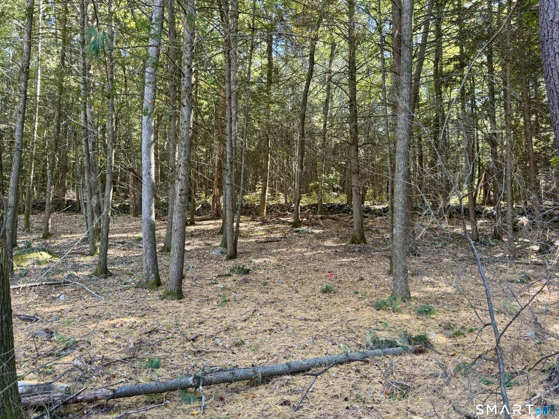 Photo of 43 Baker Road
