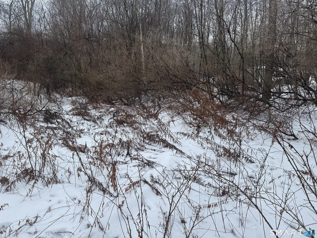 Photo of 262 Stoddard Road