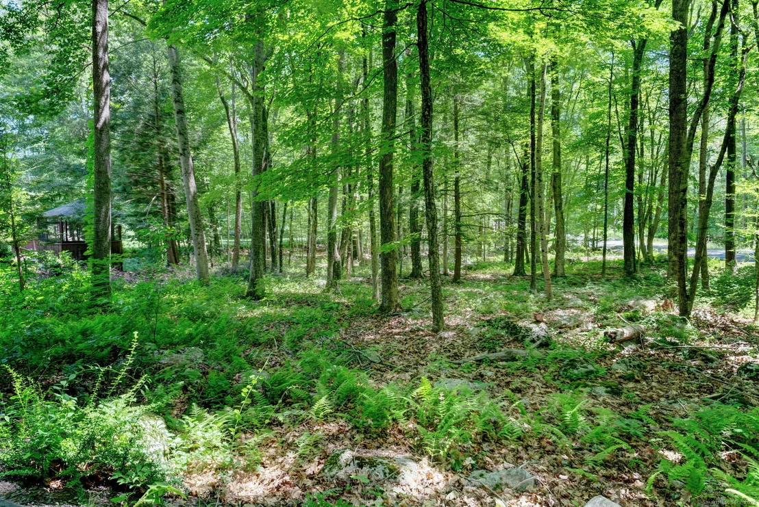 Photo of 76 Davis Road