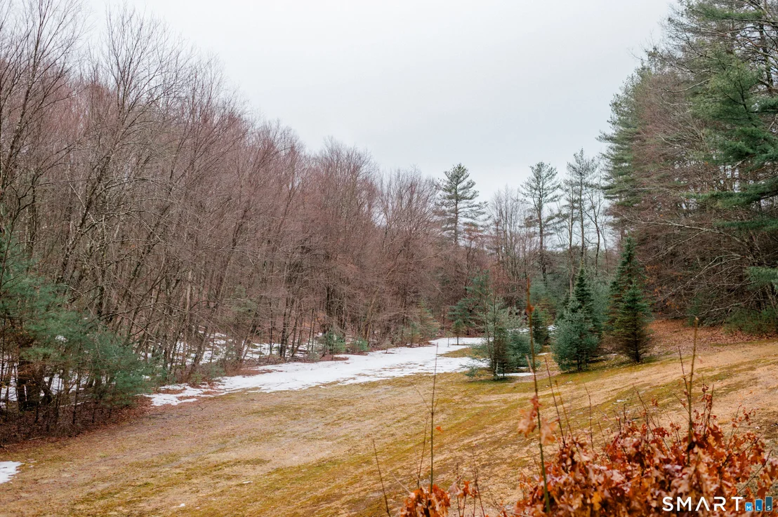 Photo of 228 Ruby Road