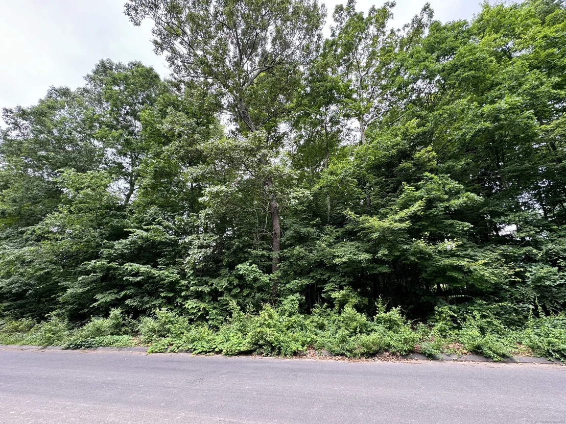 Photo of 54 Tall Oak Drive