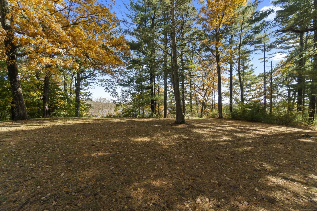 Photo of 47 Ferry Road
