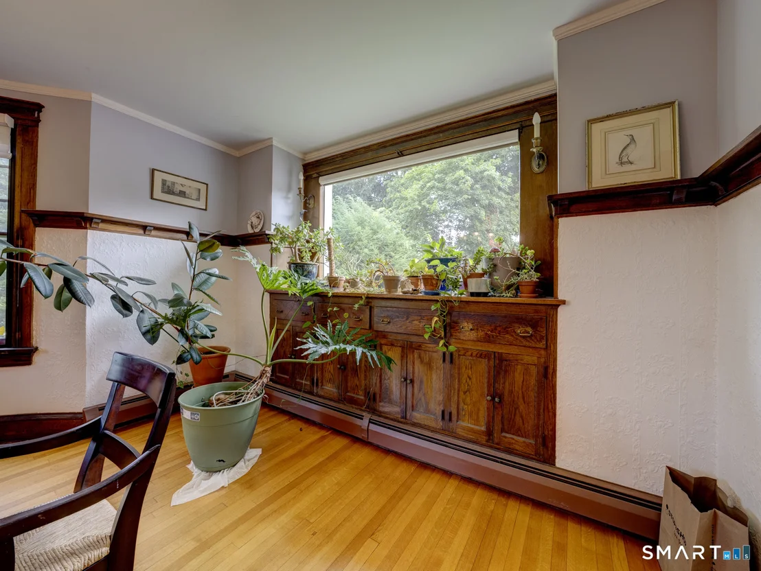 Photo of 205 Albert Street