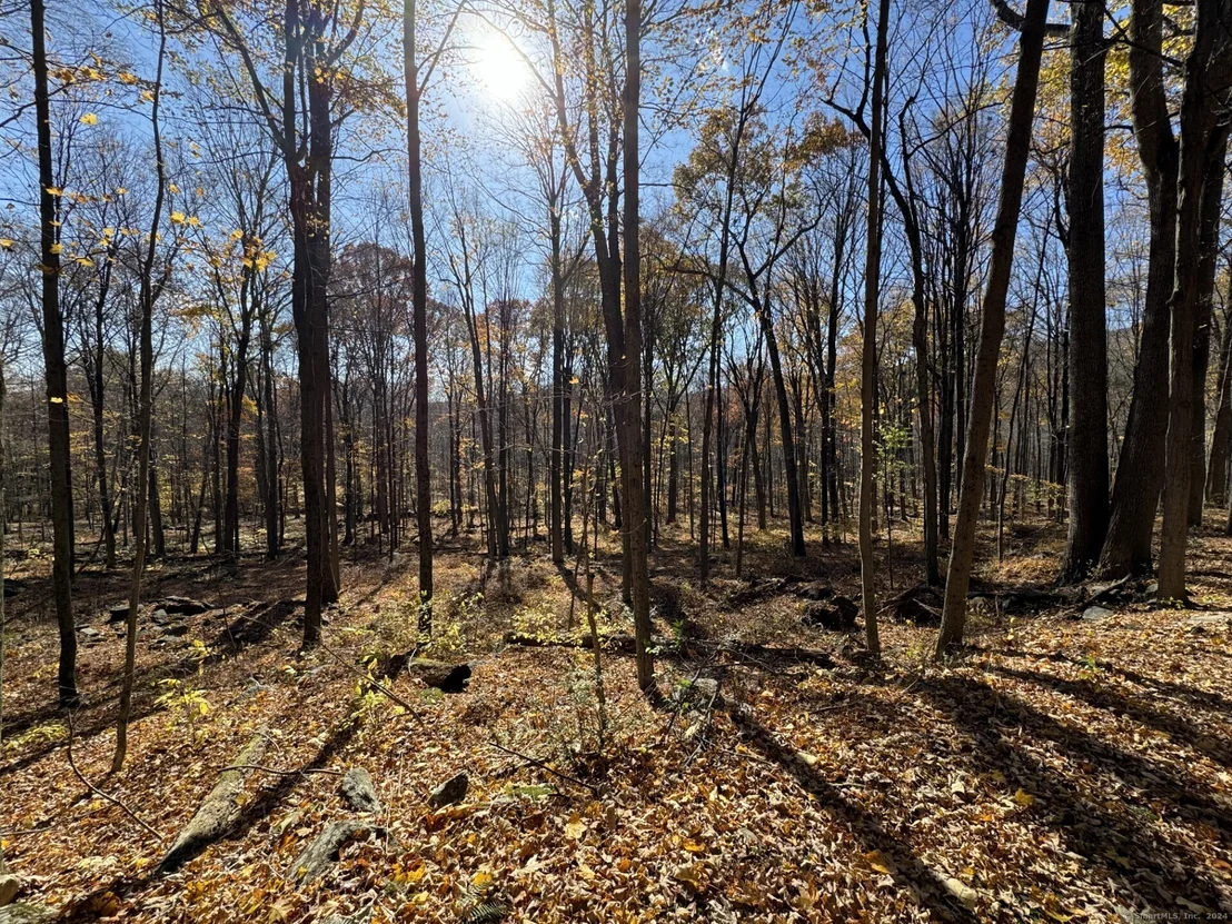 Photo of 00 Upper Kent Hollow Road