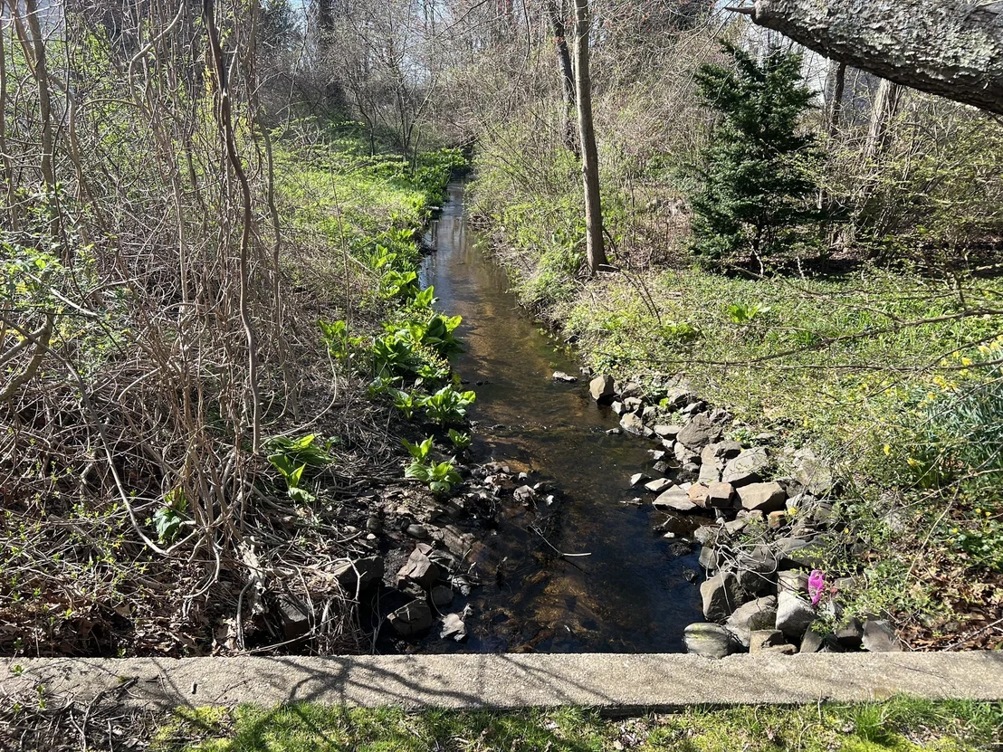 Photo of 86 Sandelwood Drive
