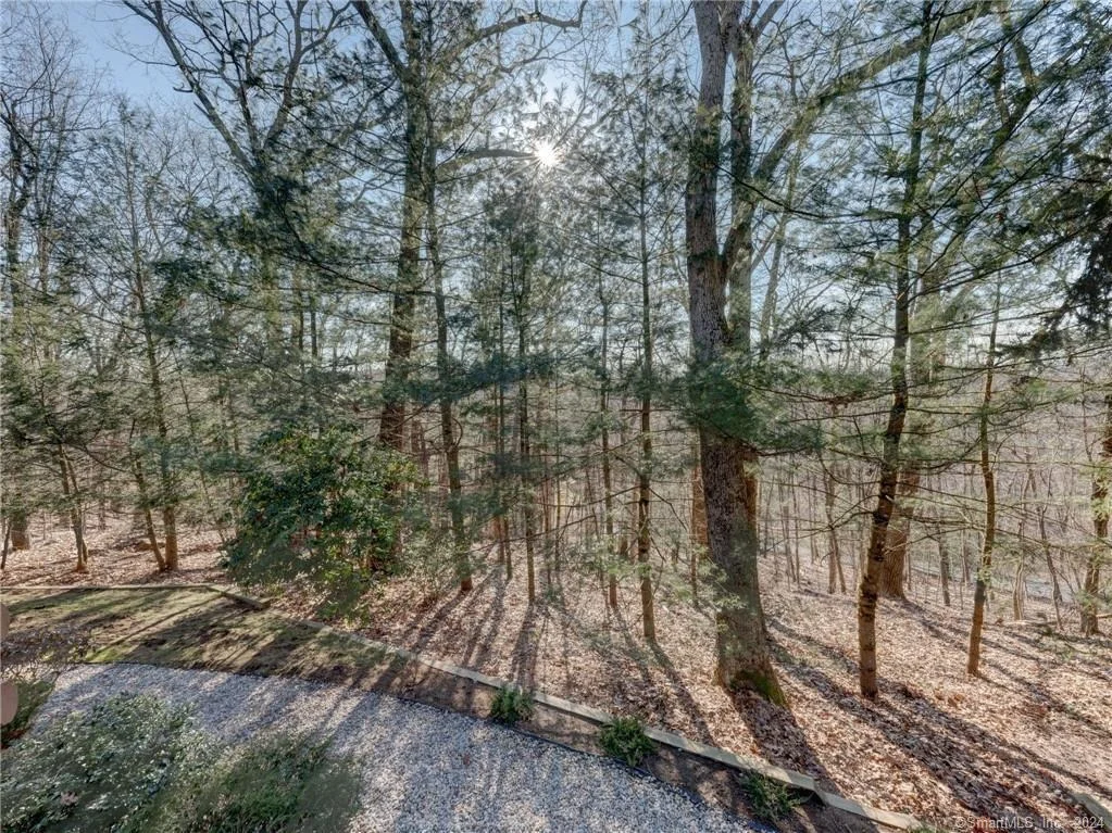 Photo of 154 Transylvania Road