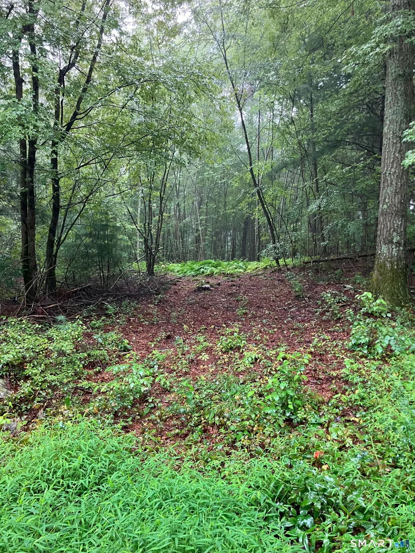 Photo of 18 Ledge Hill Road