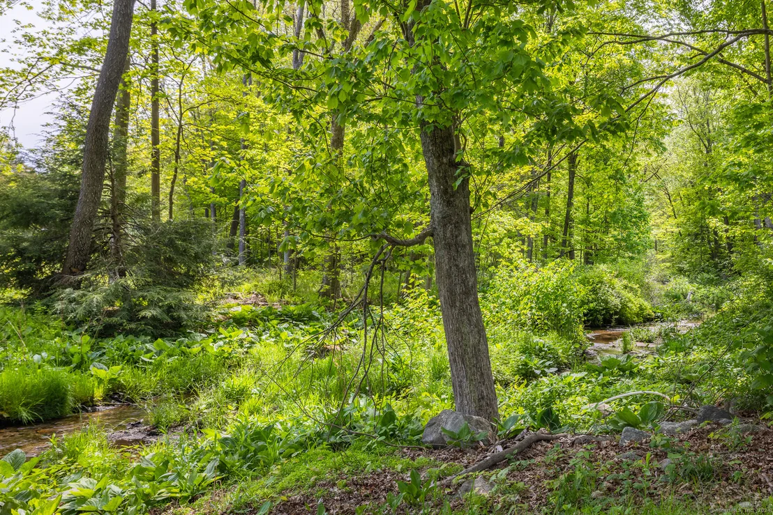Photo of 54 Munson Road