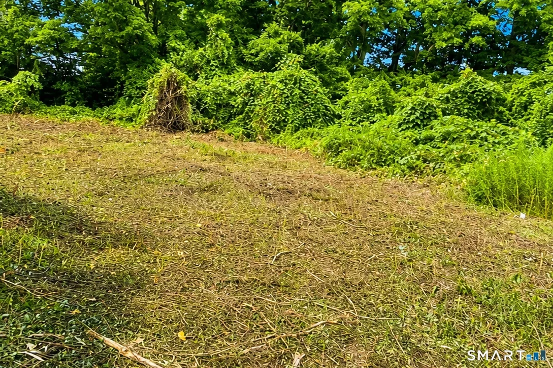 Photo of 3 Hall Road