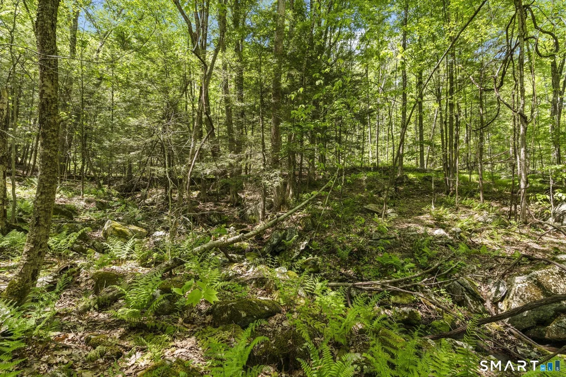 Photo of 321 Colebrook Road
