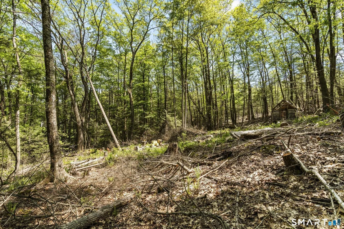 Photo of 321 Colebrook Road
