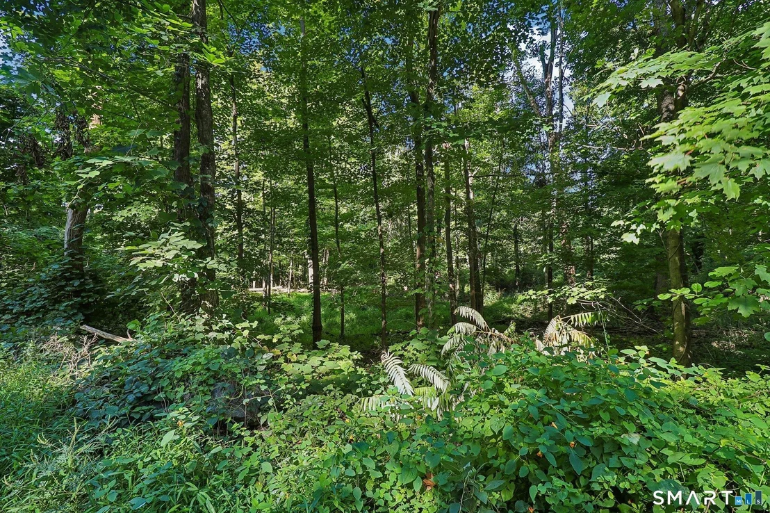 Photo of 62 Coppermine Road