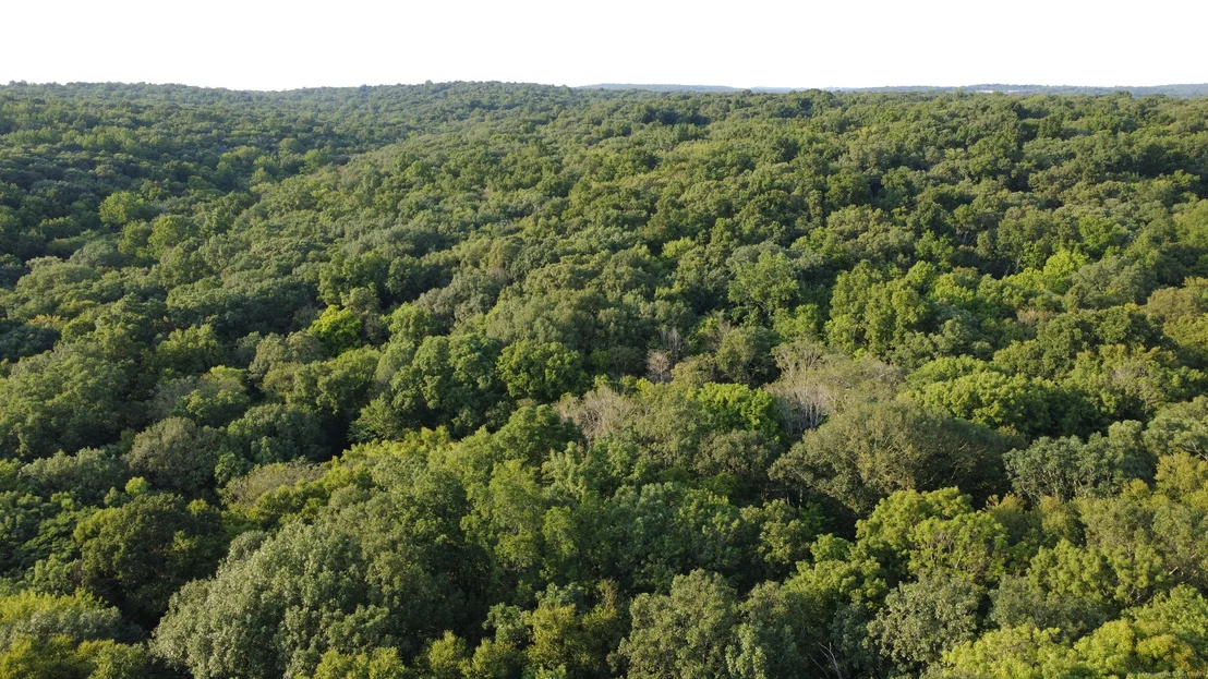 Photo of 187 Branch Brook Road