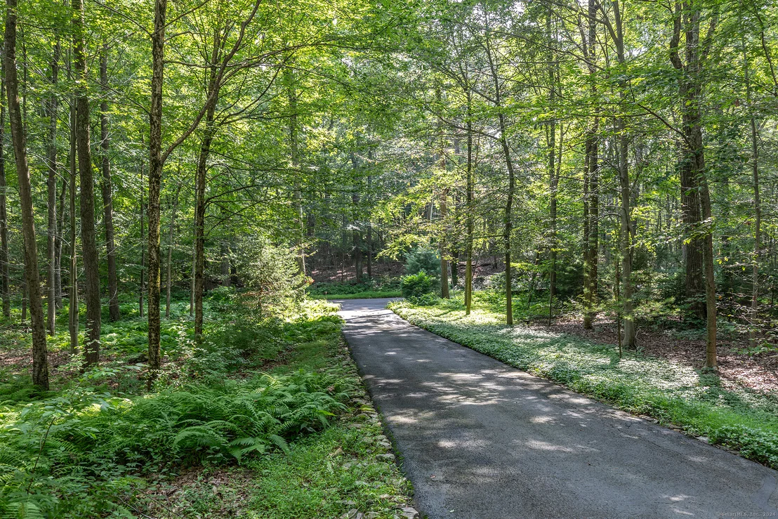 Photo of 80 Transylvania Road