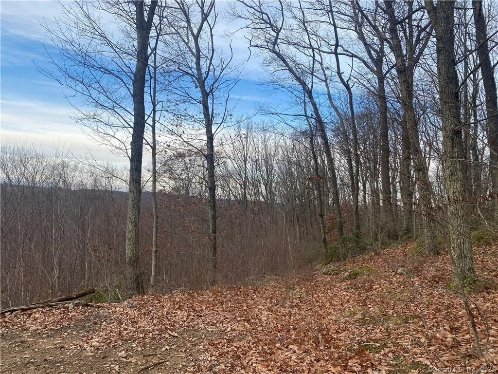 Photo of 52 Chestnut Hill Road