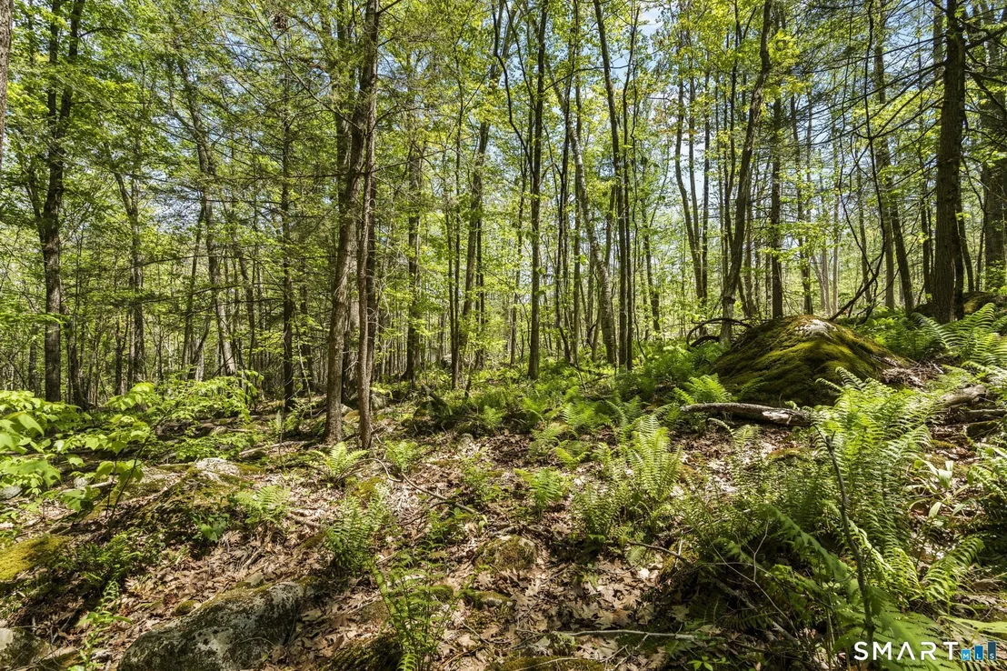 Photo of 321 Colebrook Road