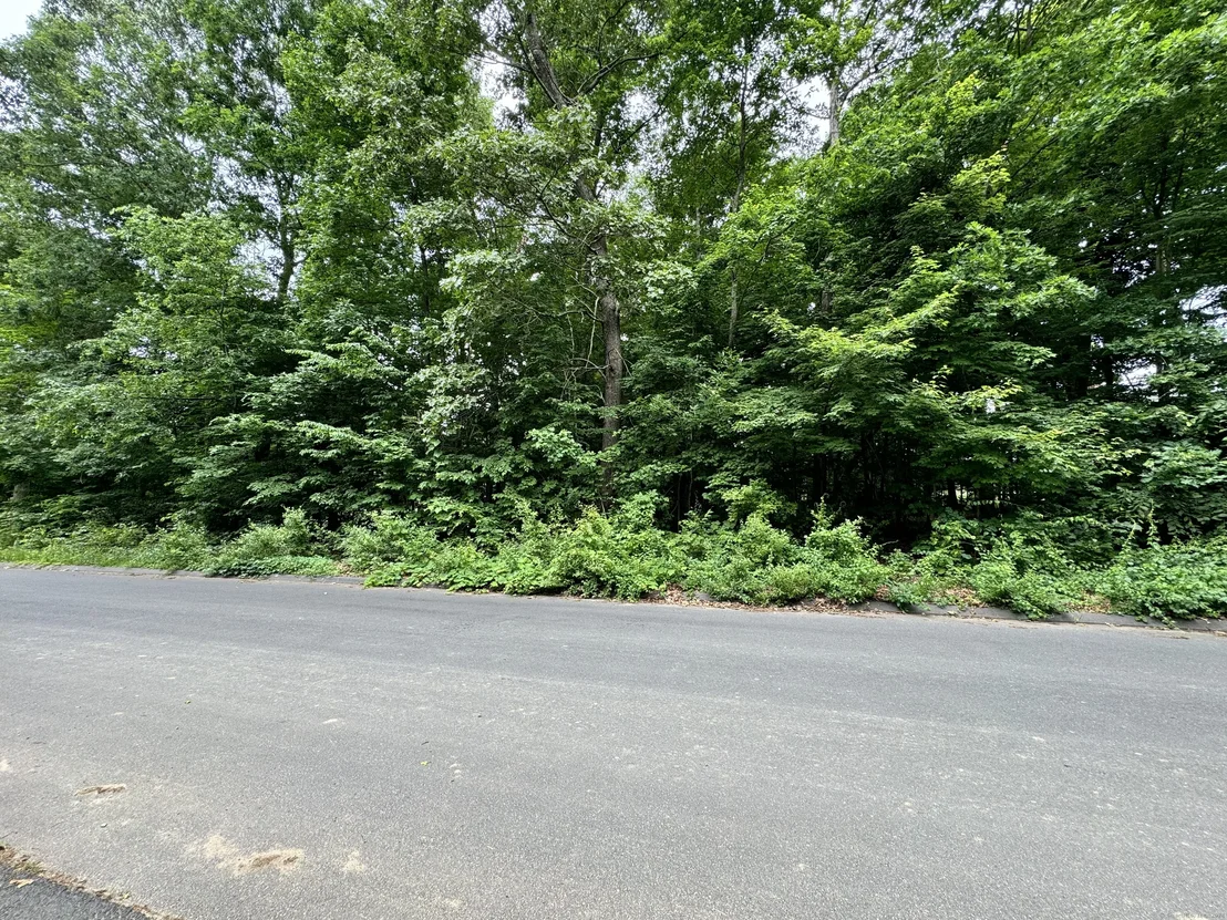 Photo of 54 Tall Oak Drive