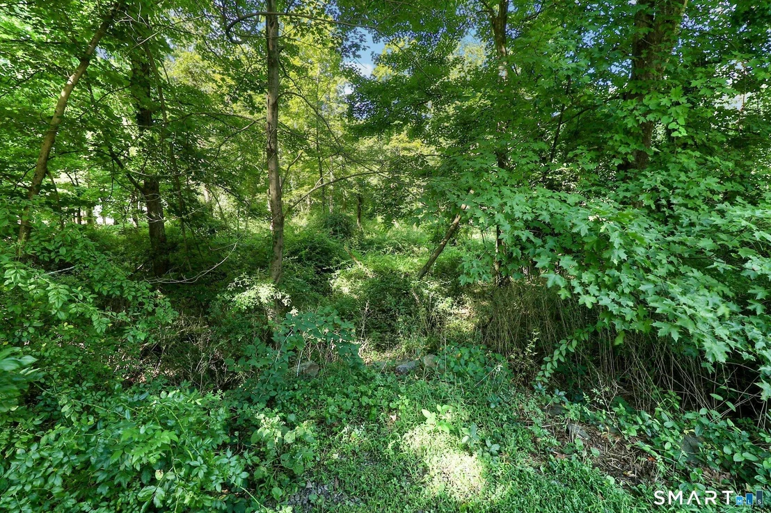 Photo of 62 Coppermine Road