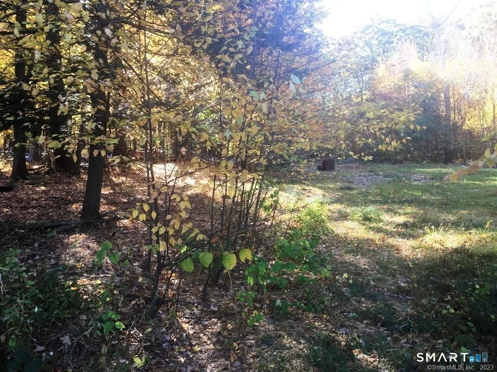 Photo of 159 Campville Road
