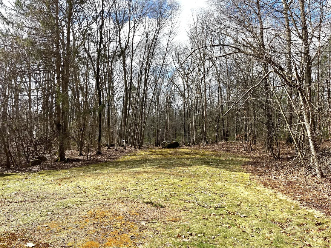 Photo of 40 Buff Cap Road