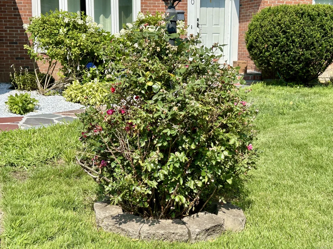 Photo of 30 Apter Drive
