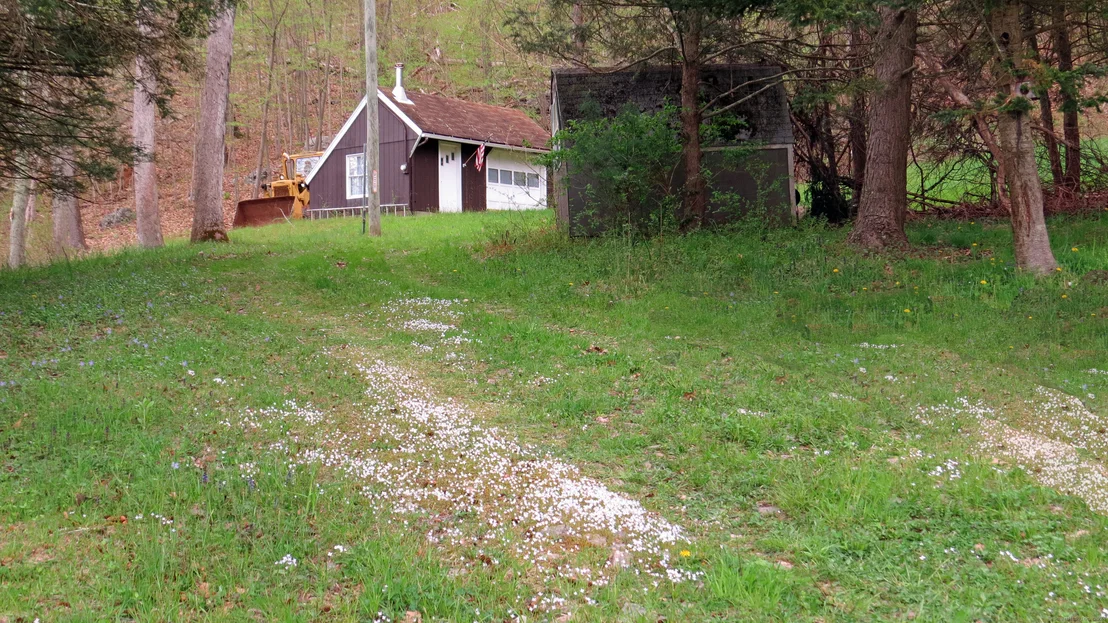 Photo of 198 Cook Lane