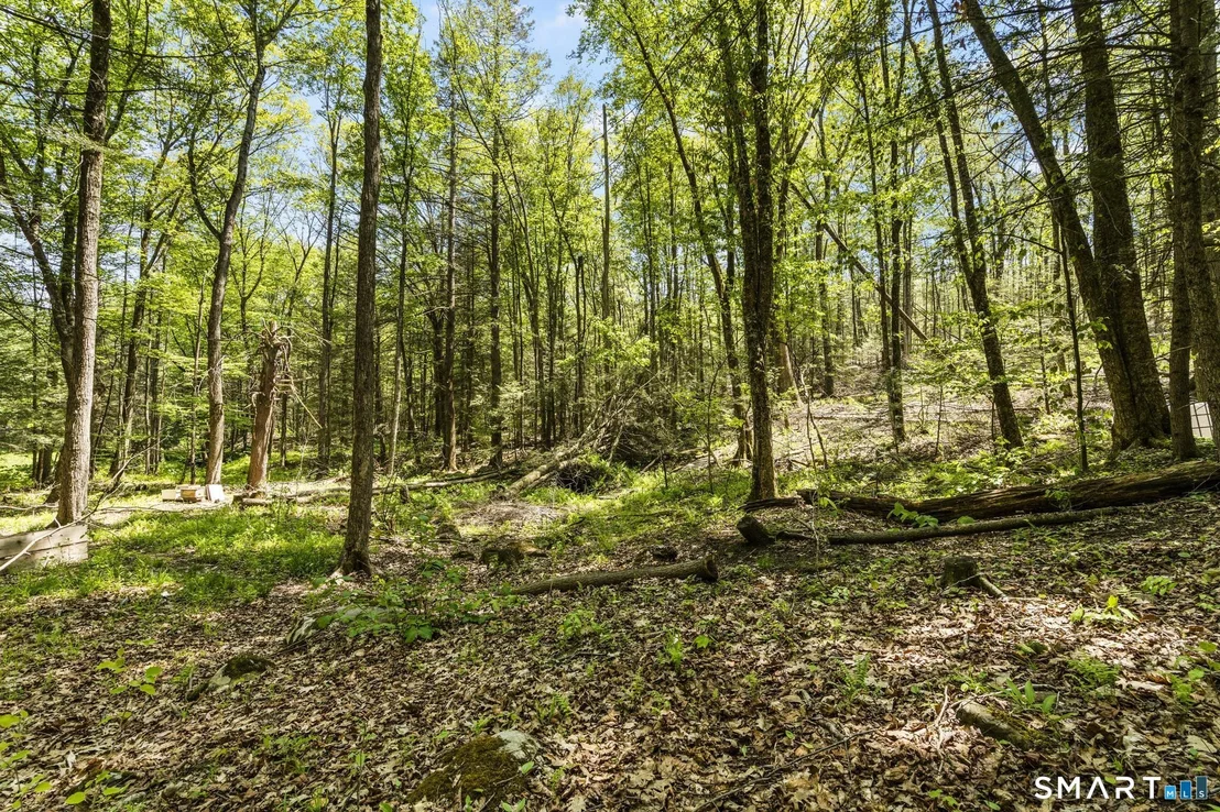 Photo of 321 Colebrook Road