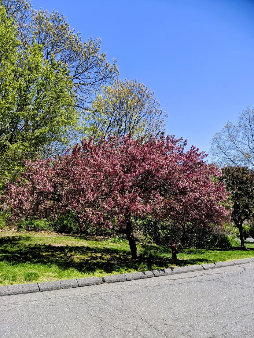 Photo of Unit 32C at 925 Oronoke Road