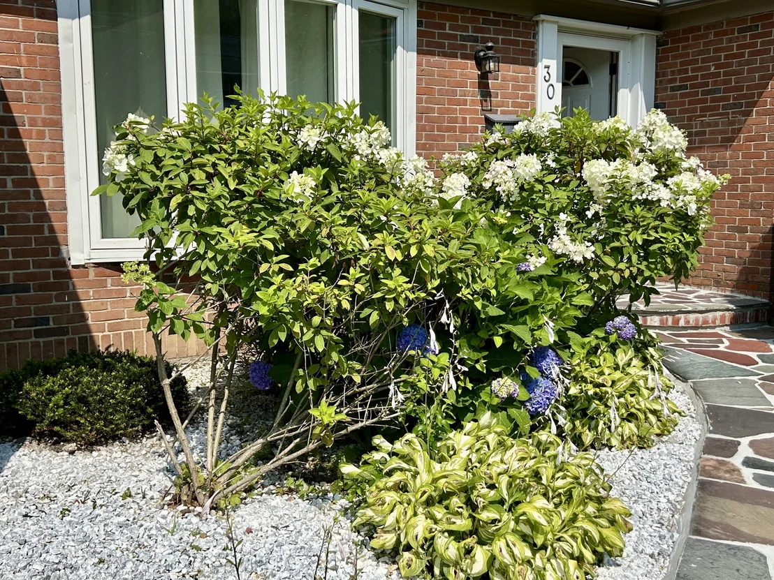 Photo of 30 Apter Drive