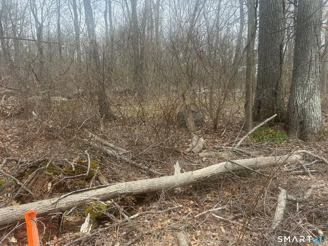Photo of Unit 1314 at 14 Juniper Drive