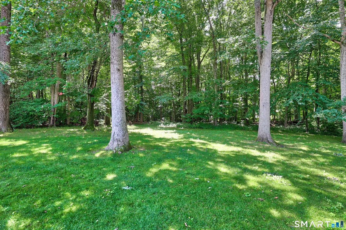 Photo of 14 Richard Lane