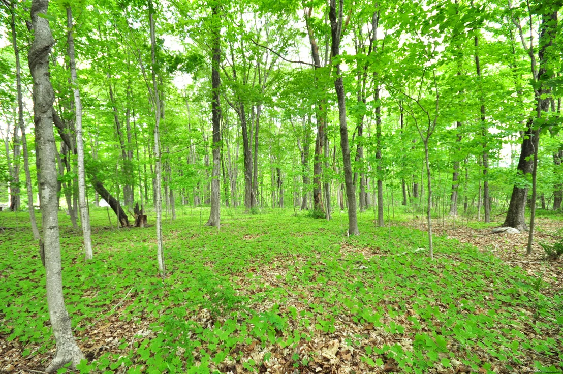 Photo of 30 Chestnut Hill Road