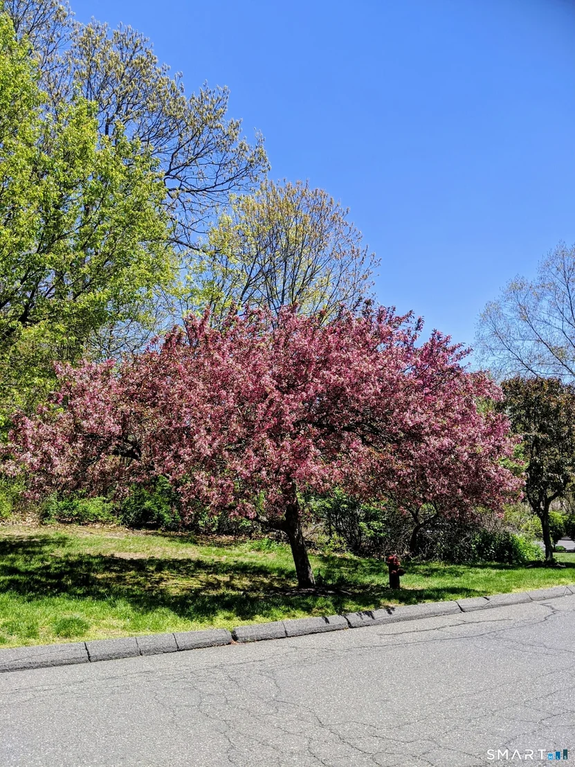 Photo of Unit 34J at 925 Oronoke Road