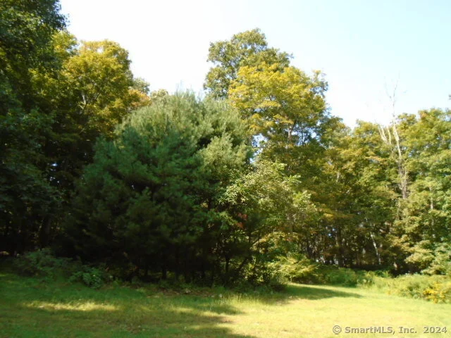 Photo of 119 Squires Road